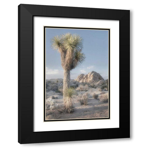 Joshua Tree National Park I Black Modern Wood Framed Art Print with Double Matting by Majchrowicz, Alan