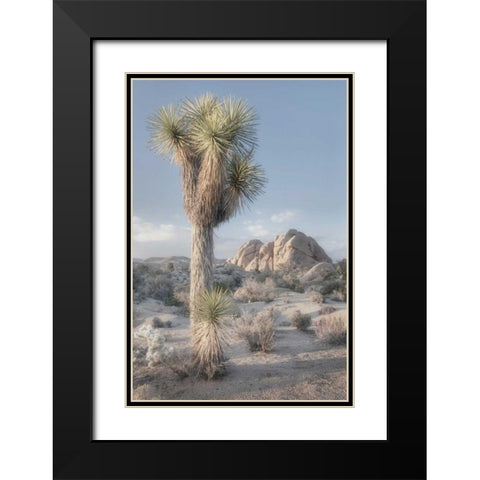 Joshua Tree National Park I Black Modern Wood Framed Art Print with Double Matting by Majchrowicz, Alan