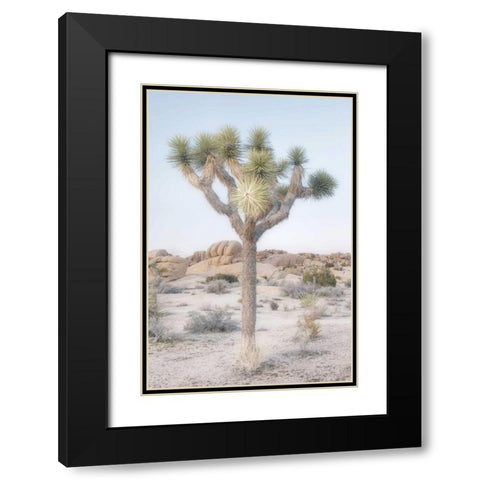 Joshua Tree National Park II Black Modern Wood Framed Art Print with Double Matting by Majchrowicz, Alan