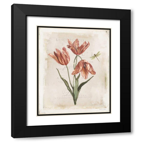 Antiquarian Blooms III Black Modern Wood Framed Art Print with Double Matting by Pertiet, Katie