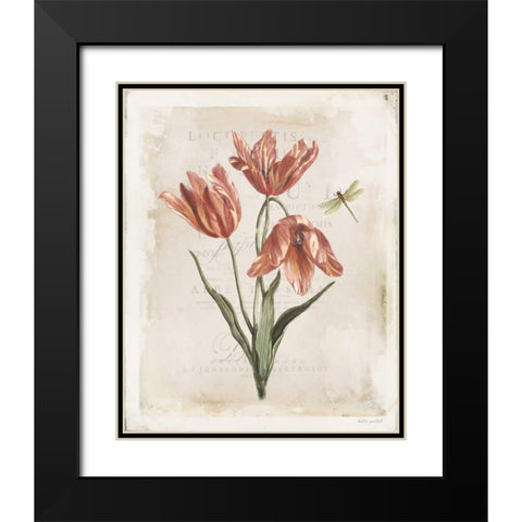 Antiquarian Blooms III Black Modern Wood Framed Art Print with Double Matting by Pertiet, Katie