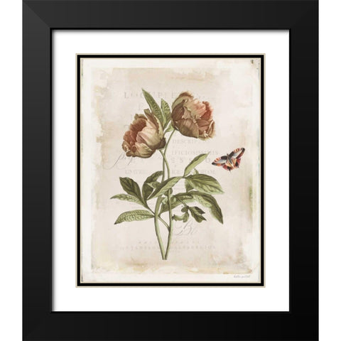 Antiquarian Blooms VI Black Modern Wood Framed Art Print with Double Matting by Pertiet, Katie