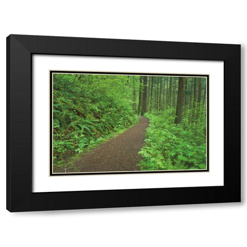 Hiking Trail in Columbia River Gorge I Black Modern Wood Framed Art Print with Double Matting by Majchrowicz, Alan