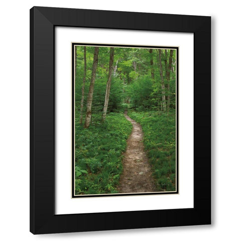 North Country Trail Black Modern Wood Framed Art Print with Double Matting by Majchrowicz, Alan