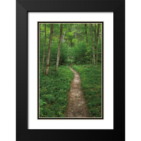 North Country Trail Black Modern Wood Framed Art Print with Double Matting by Majchrowicz, Alan