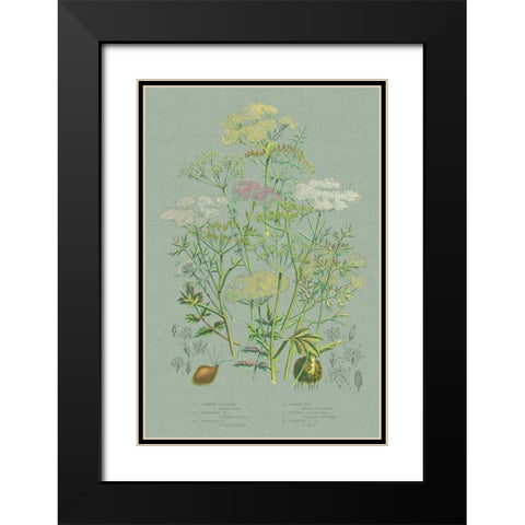 Flowering Plants II Green Linen Black Modern Wood Framed Art Print with Double Matting by Wild Apple Portfolio