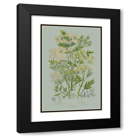 Flowering Plants III Green Linen Black Modern Wood Framed Art Print with Double Matting by Wild Apple Portfolio