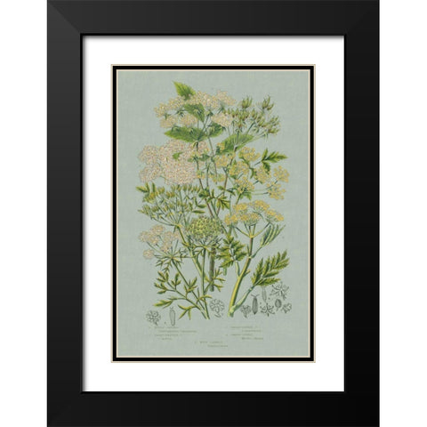 Flowering Plants III Green Linen Black Modern Wood Framed Art Print with Double Matting by Wild Apple Portfolio