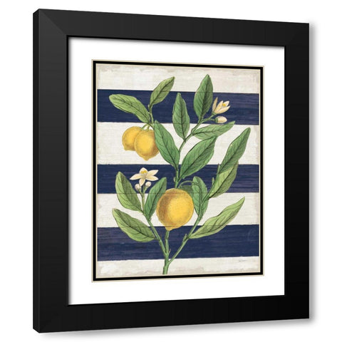 Classic Citrus V Navy Shiplap NW Black Modern Wood Framed Art Print with Double Matting by Schlabach, Sue