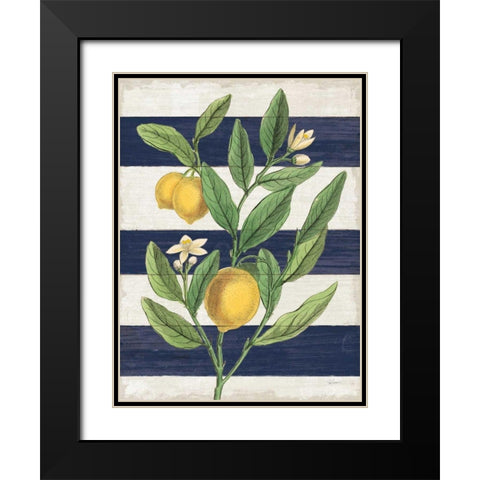 Classic Citrus V Navy Shiplap NW Black Modern Wood Framed Art Print with Double Matting by Schlabach, Sue