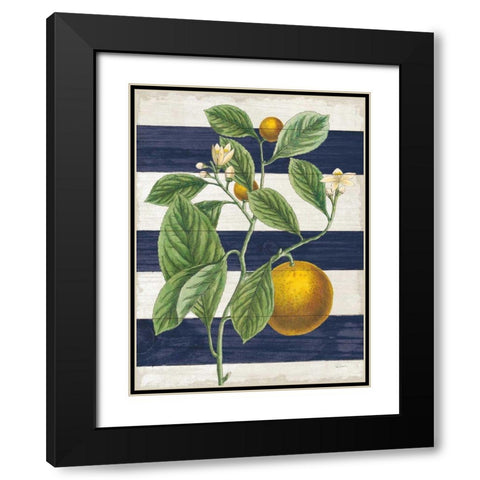 Classic Citrus VI Navy Shiplap NW Black Modern Wood Framed Art Print with Double Matting by Schlabach, Sue