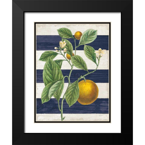 Classic Citrus VI Navy Shiplap NW Black Modern Wood Framed Art Print with Double Matting by Schlabach, Sue