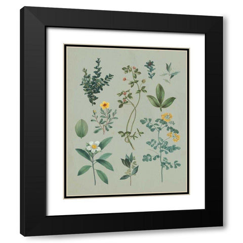 Victorian Garden V Black Modern Wood Framed Art Print with Double Matting by Wild Apple Portfolio