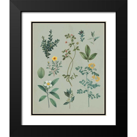 Victorian Garden V Black Modern Wood Framed Art Print with Double Matting by Wild Apple Portfolio