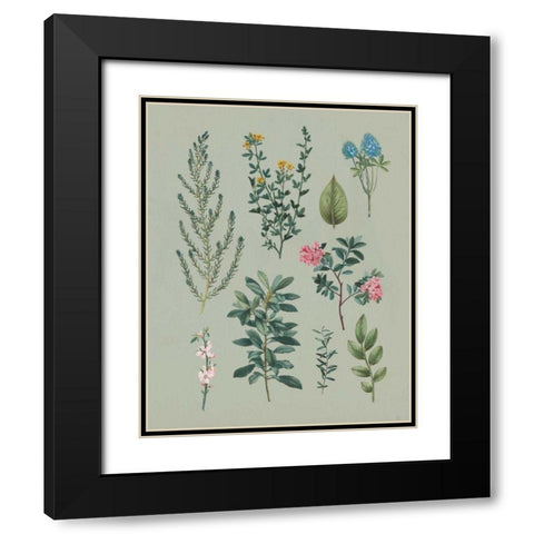 Victorian Garden VI Black Modern Wood Framed Art Print with Double Matting by Wild Apple Portfolio