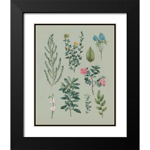 Victorian Garden VI Black Modern Wood Framed Art Print with Double Matting by Wild Apple Portfolio