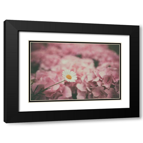 Daisy Dreams Black Modern Wood Framed Art Print with Double Matting by Aledanda