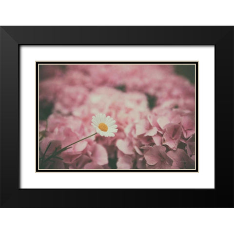 Daisy Dreams Black Modern Wood Framed Art Print with Double Matting by Aledanda