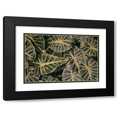 Greenery Abounds Black Modern Wood Framed Art Print with Double Matting by Aledanda