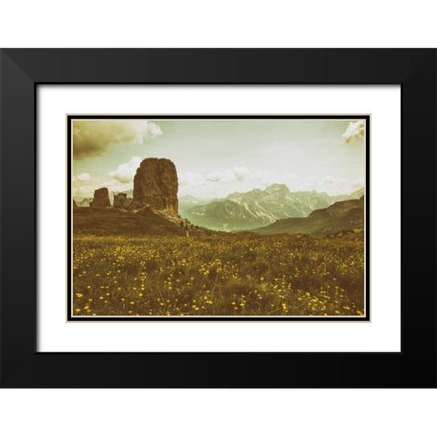 Floral Fields Black Modern Wood Framed Art Print with Double Matting by Aledanda