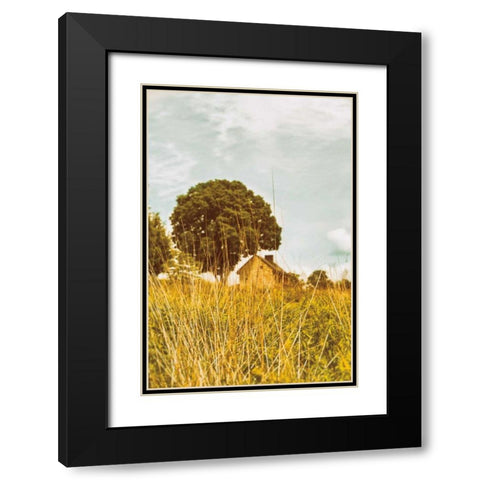 Grass and Sky Black Modern Wood Framed Art Print with Double Matting by Aledanda