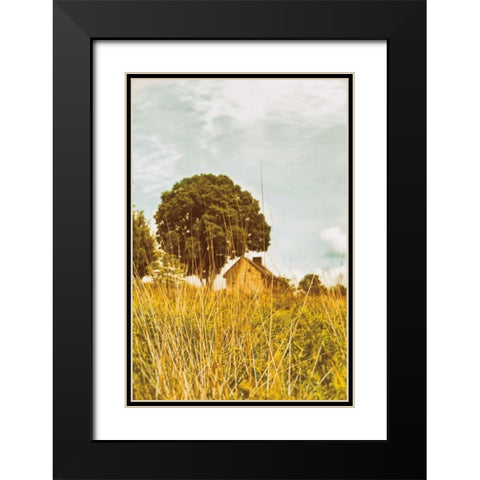 Grass and Sky Black Modern Wood Framed Art Print with Double Matting by Aledanda