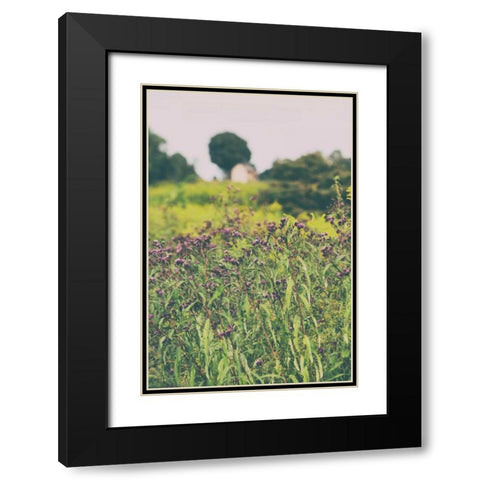 Roadside Flowers Black Modern Wood Framed Art Print with Double Matting by Aledanda