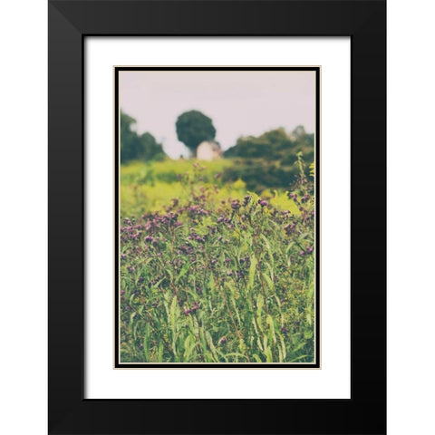 Roadside Flowers Black Modern Wood Framed Art Print with Double Matting by Aledanda