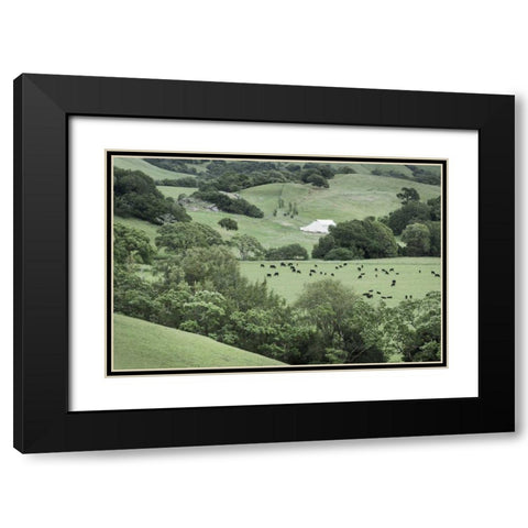 Marin California Ranch Black Modern Wood Framed Art Print with Double Matting by Majchrowicz, Alan