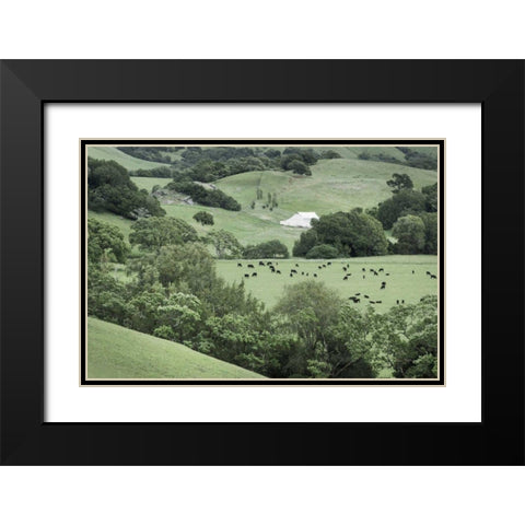 Marin California Ranch Black Modern Wood Framed Art Print with Double Matting by Majchrowicz, Alan