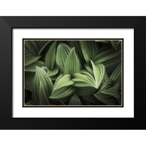 Corn Lily I Black Modern Wood Framed Art Print with Double Matting by Majchrowicz, Alan