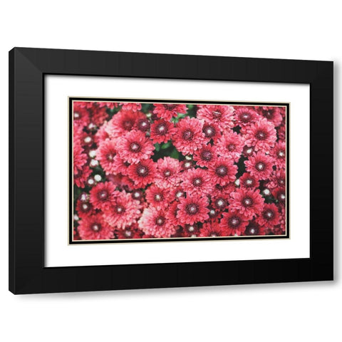 Autumn Flowers I Black Modern Wood Framed Art Print with Double Matting by Marshall, Laura