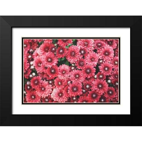 Autumn Flowers I Black Modern Wood Framed Art Print with Double Matting by Marshall, Laura