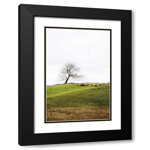 Dales Way II Black Modern Wood Framed Art Print with Double Matting by Marshall, Laura