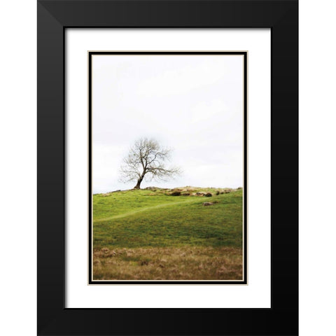 Dales Way II Black Modern Wood Framed Art Print with Double Matting by Marshall, Laura