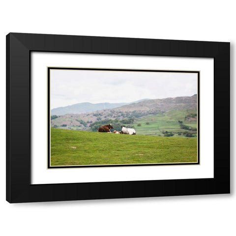 Lake District III Black Modern Wood Framed Art Print with Double Matting by Marshall, Laura
