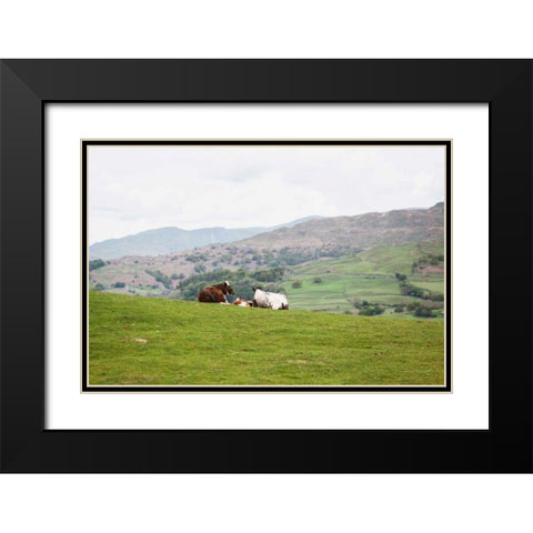 Lake District III Black Modern Wood Framed Art Print with Double Matting by Marshall, Laura