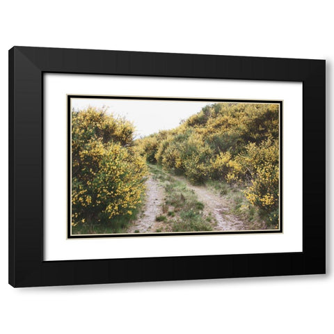 Scottish Highlands II Black Modern Wood Framed Art Print with Double Matting by Marshall, Laura
