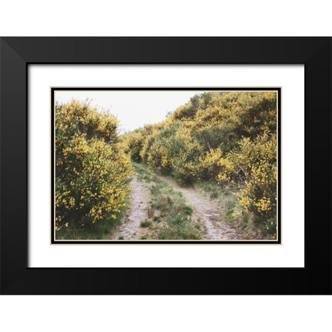 Scottish Highlands II Black Modern Wood Framed Art Print with Double Matting by Marshall, Laura