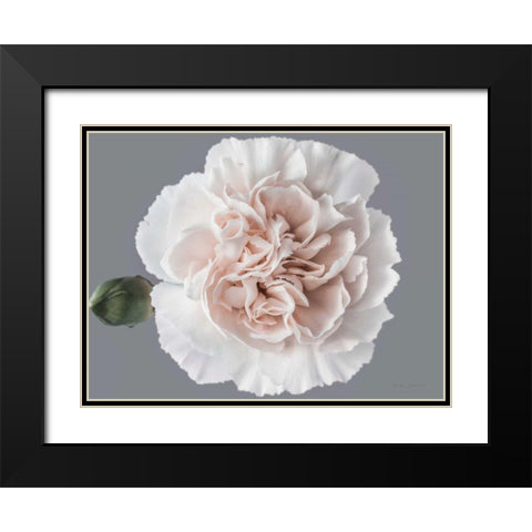 Blush Carnation Black Modern Wood Framed Art Print with Double Matting by Catterall, Elise