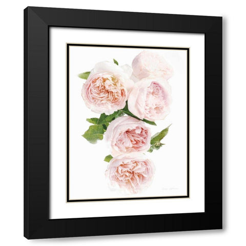 David Austin Cascade Black Modern Wood Framed Art Print with Double Matting by Catterall, Elise
