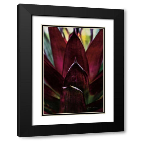 Succulent Detail I Black Modern Wood Framed Art Print with Double Matting by Catterall, Elise