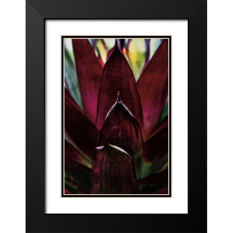 Succulent Detail I Black Modern Wood Framed Art Print with Double Matting by Catterall, Elise