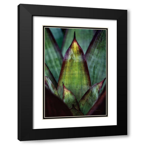 Succulent Detail II Black Modern Wood Framed Art Print with Double Matting by Catterall, Elise