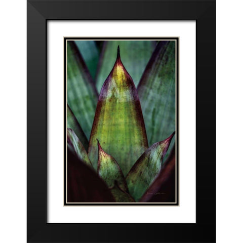 Succulent Detail II Black Modern Wood Framed Art Print with Double Matting by Catterall, Elise