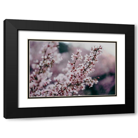 Cherry Blossom Black Modern Wood Framed Art Print with Double Matting by Catterall, Elise