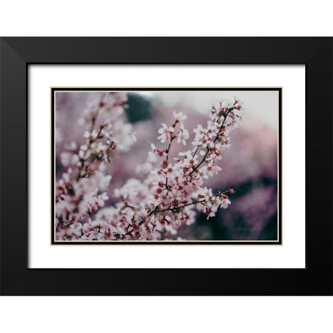 Cherry Blossom Black Modern Wood Framed Art Print with Double Matting by Catterall, Elise