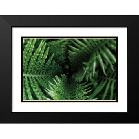 Fern Detail Black Modern Wood Framed Art Print with Double Matting by Catterall, Elise