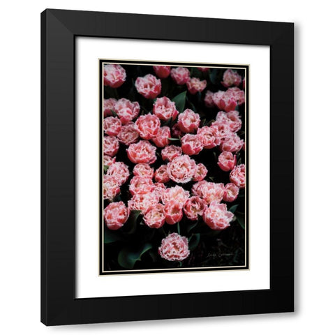 Fringed Tulips Black Modern Wood Framed Art Print with Double Matting by Catterall, Elise