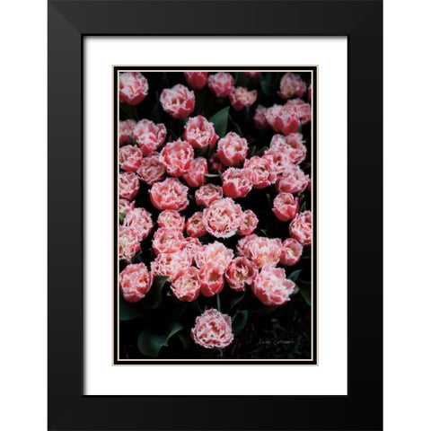 Fringed Tulips Black Modern Wood Framed Art Print with Double Matting by Catterall, Elise
